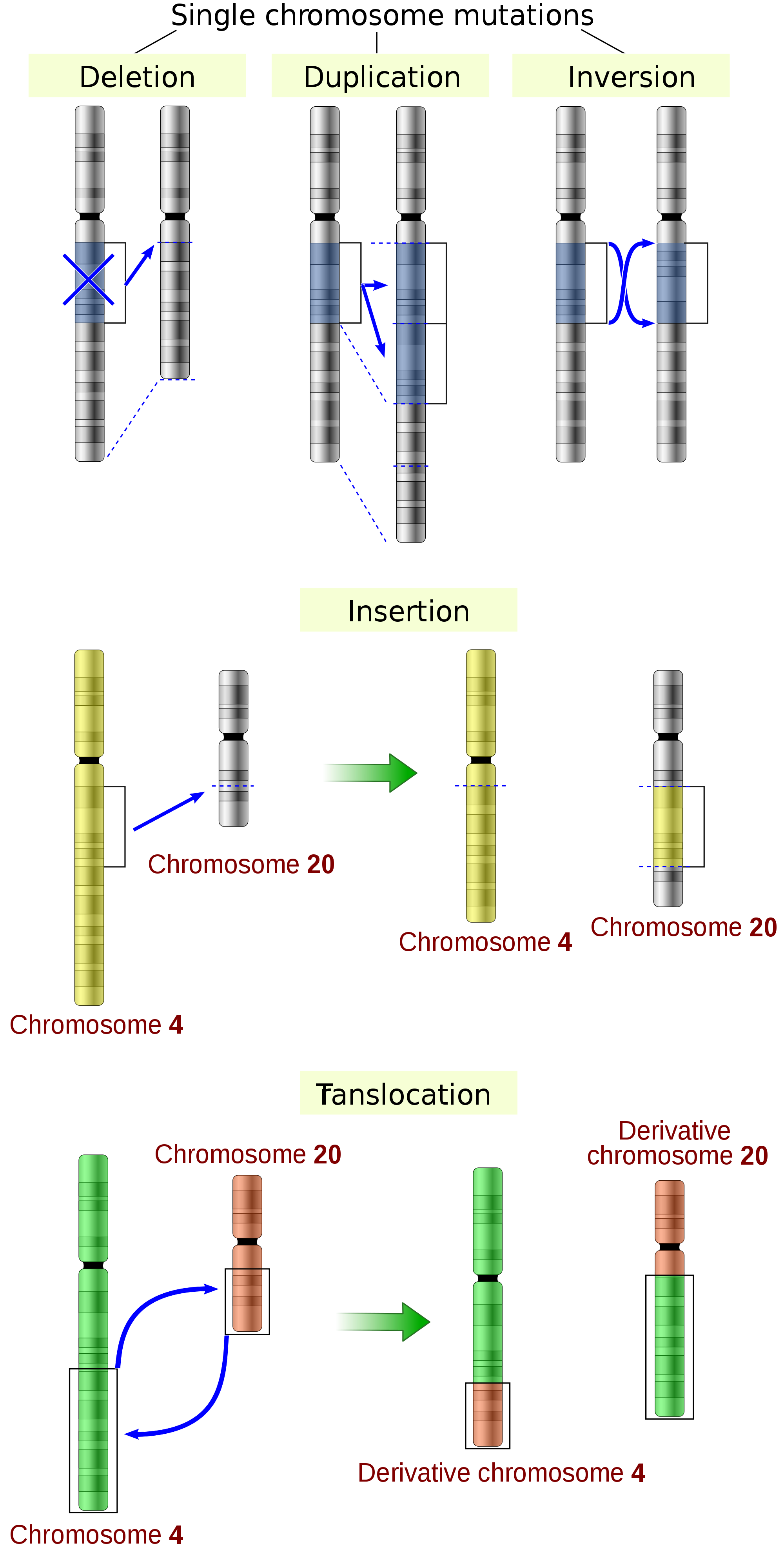 Human Genomic Variation