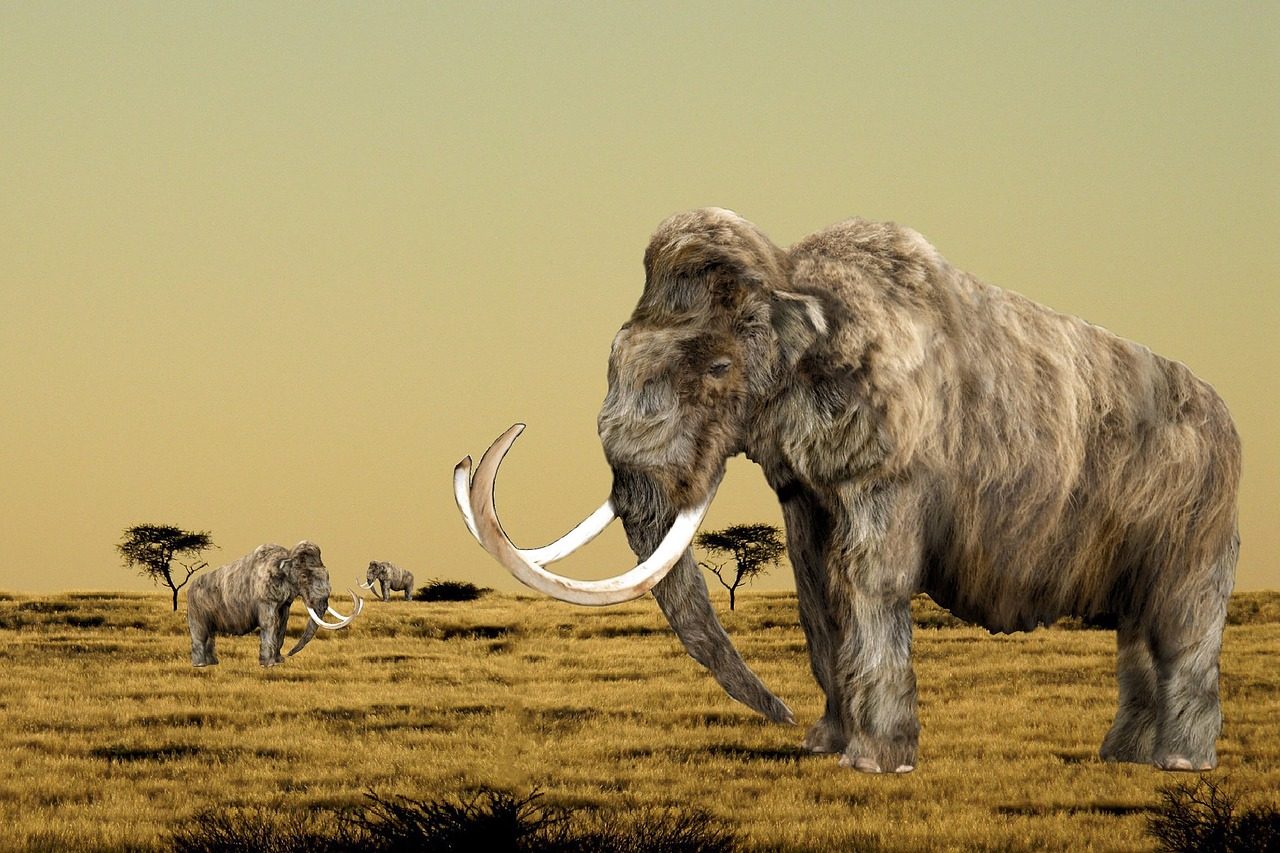 Book Review: How To Clone A Mammoth | Yale Scientific Magazine