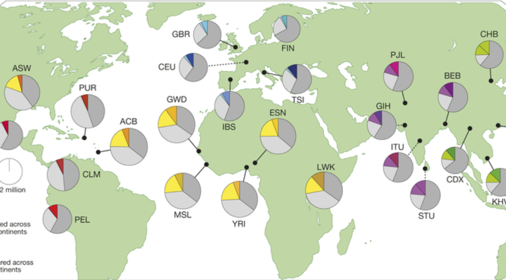 Population of continents. Генетическое разнообразие картинки. Genetic population. Genetic variation.