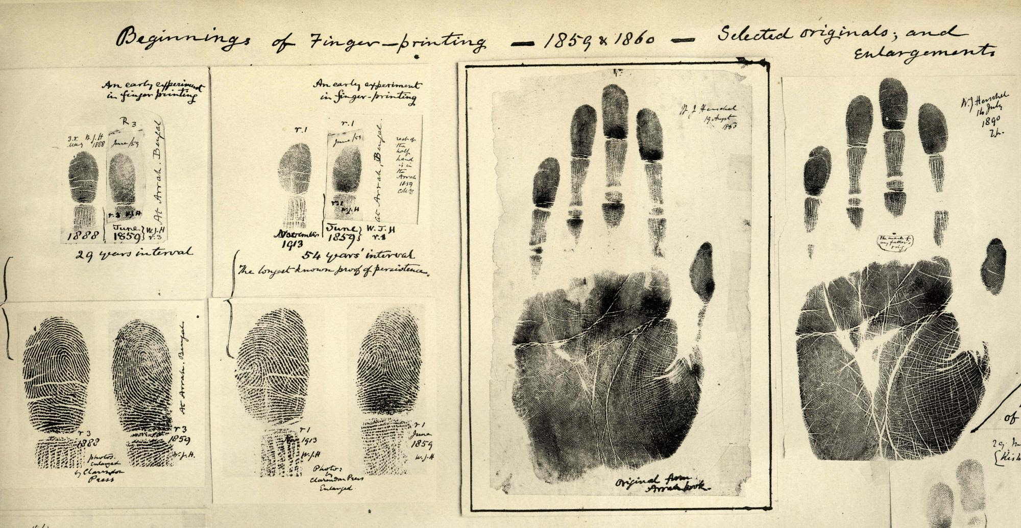 foregone-forensics-a-brief-history-of-crime-solving-yale-scientific