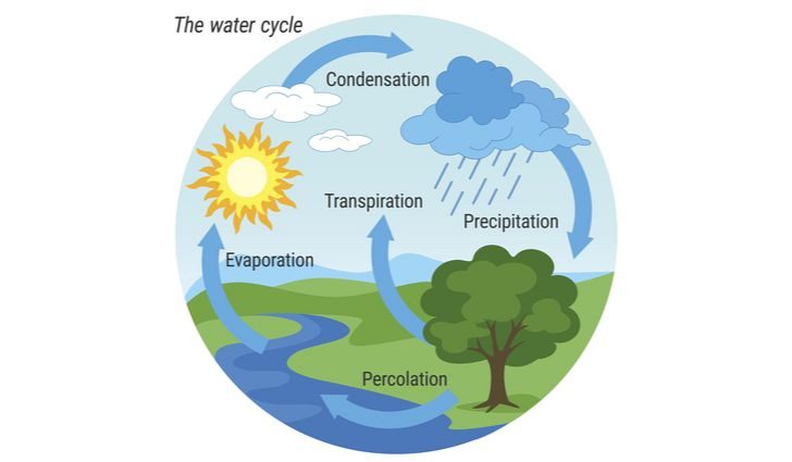 The Hidden Causes of Lake Evaporation | Yale Scientific Magazine