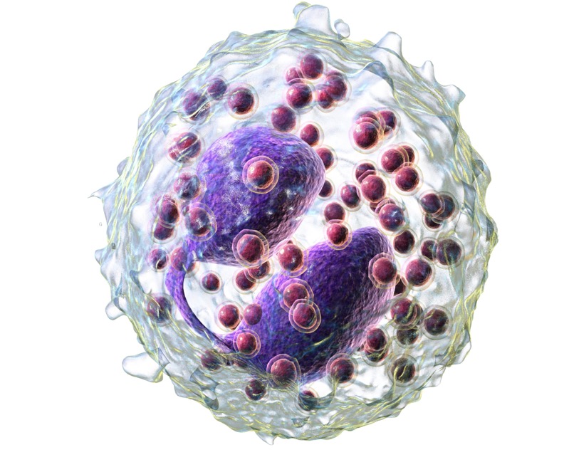 Micro Molecule, Huge Impact: How microRNAs Inhibit Asthmatic Reactions ...