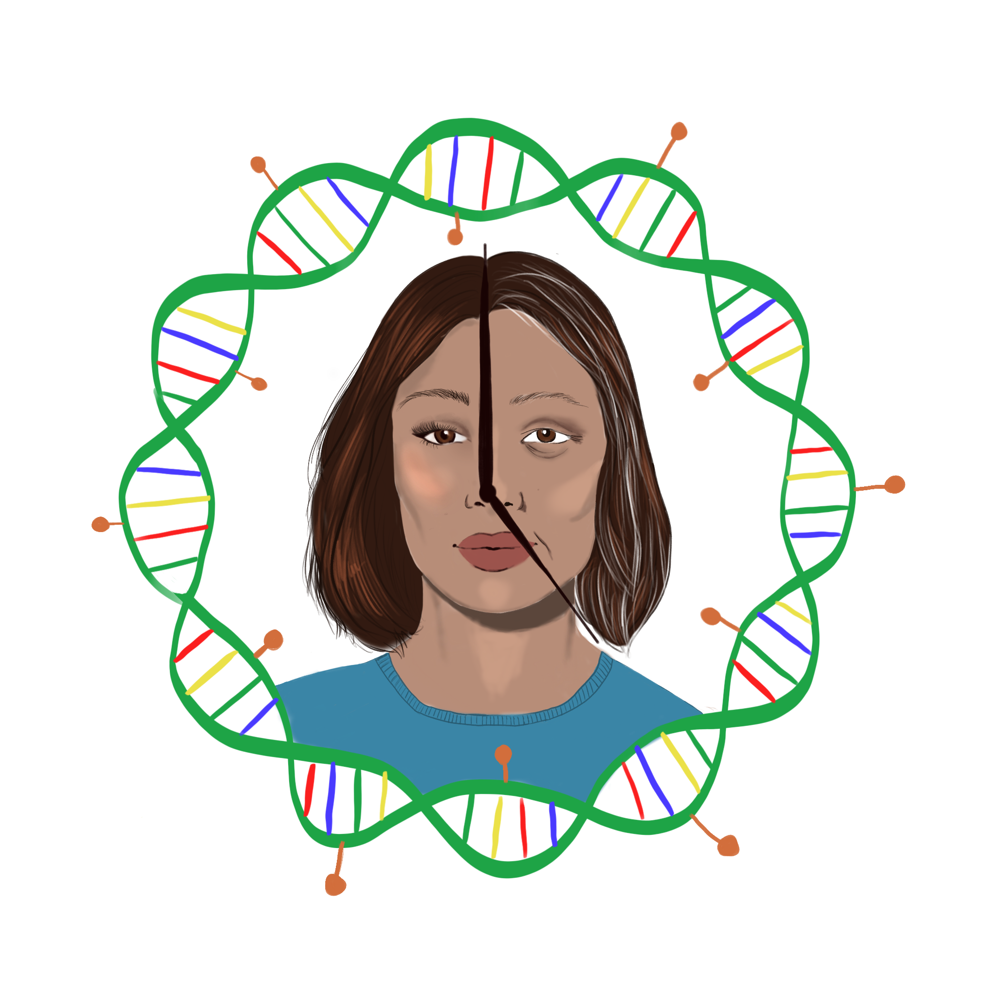 Turning Back The Clock Yale Scientific Magazine